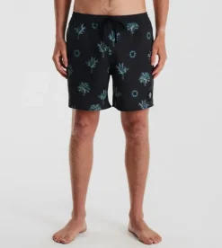 Roark Shorey Boardshorts 16" LaFrondaBlack Hot