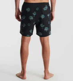 Roark Shorey Boardshorts 16" LaFrondaBlack Hot